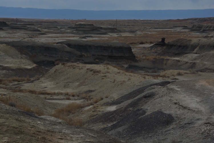 bisti wilderness